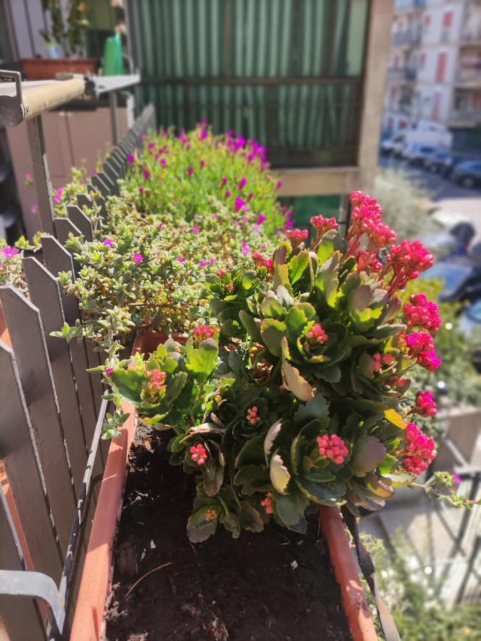 La Casa Dei Nonni Leilighet Roma Eksteriør bilde